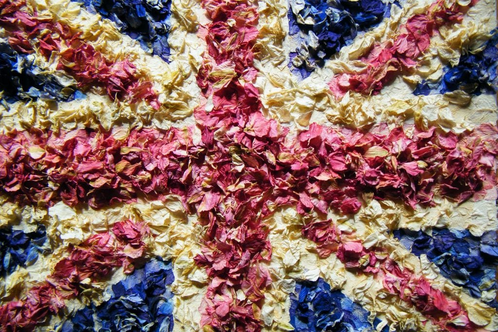 British natural delphinium petal confetti
