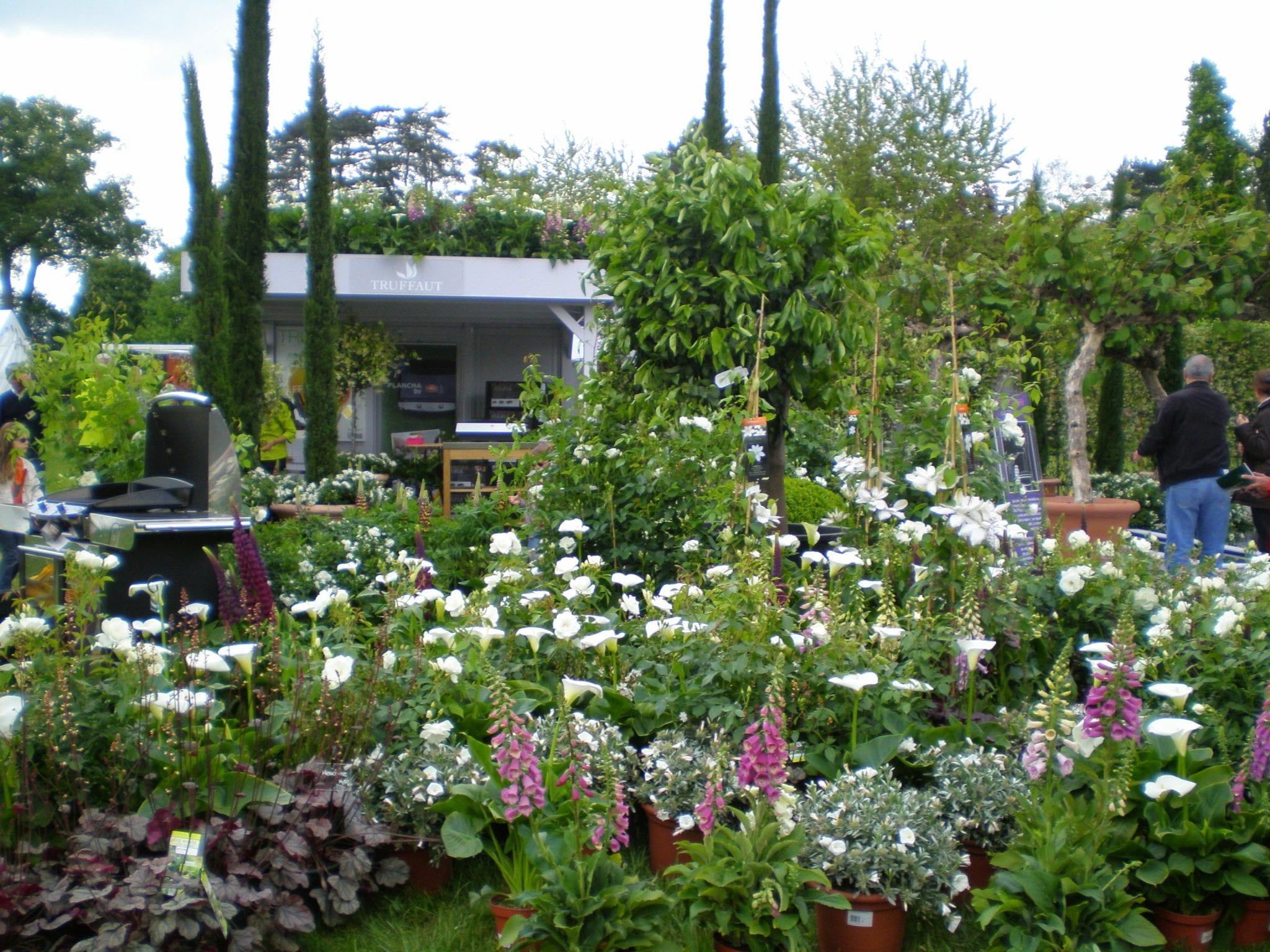 display flower garden