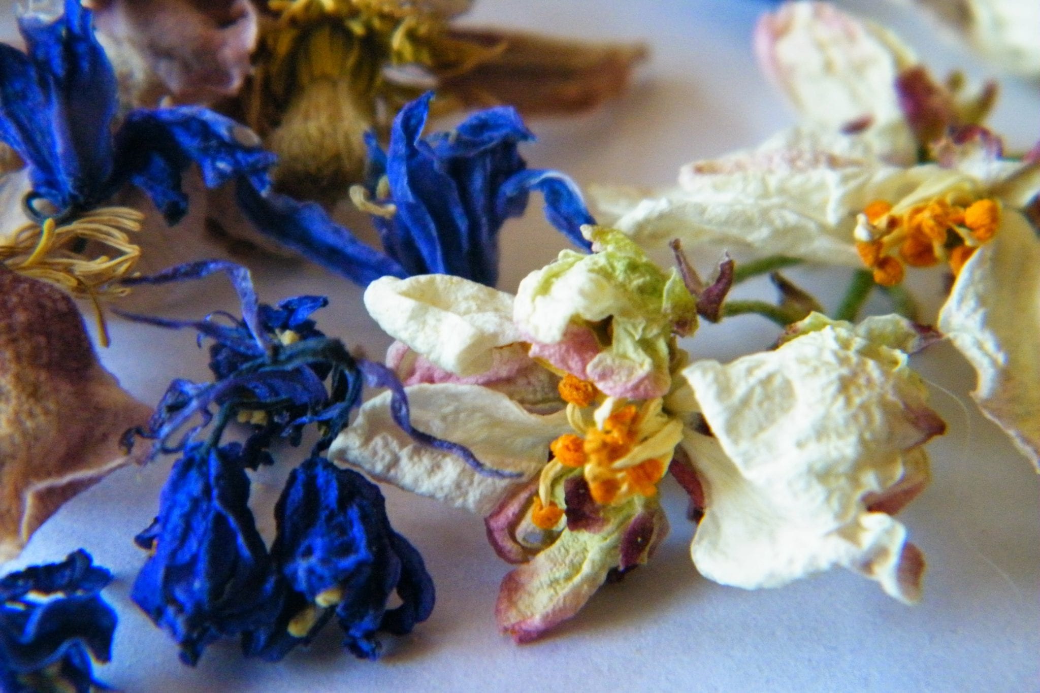 dried clematis, bluebells, orange flowers
