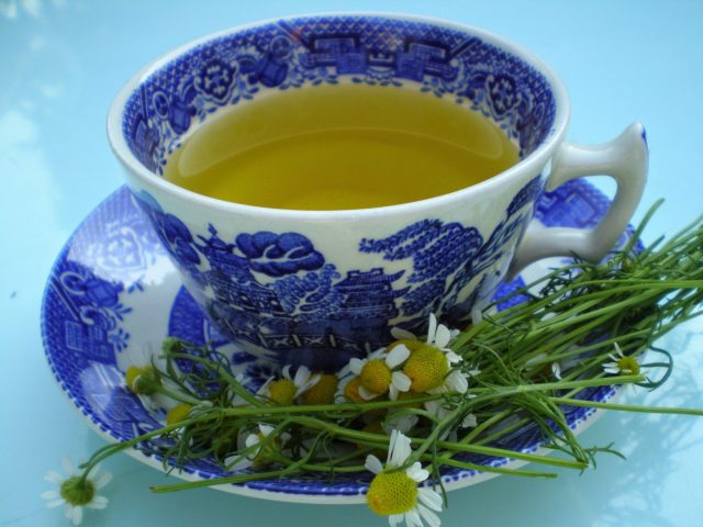 chamomile tea cup