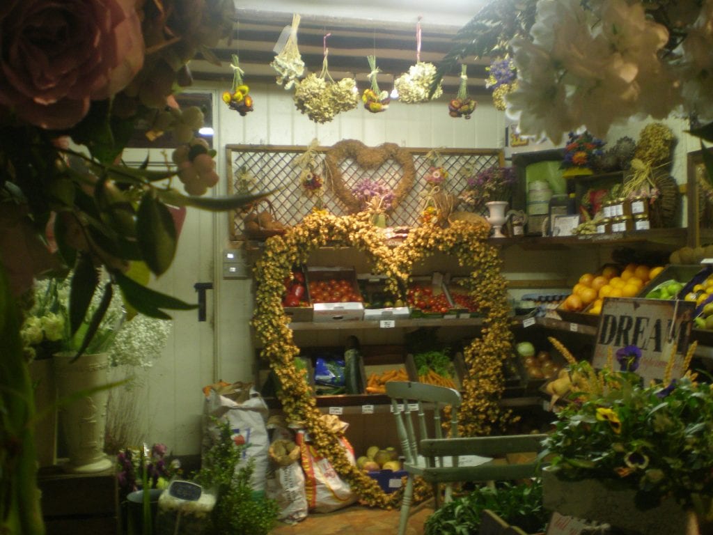 dried flowers dried hops flower shop