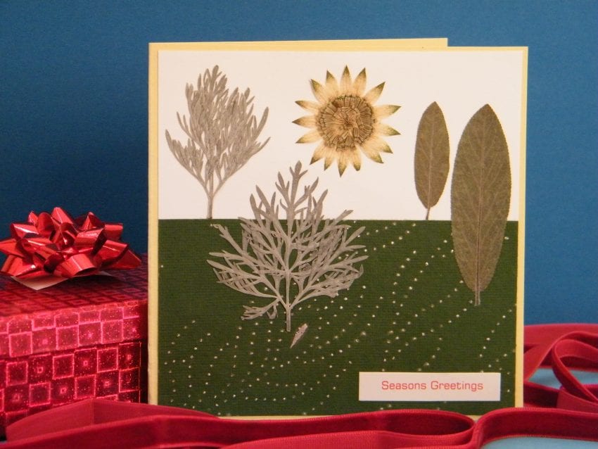 pressed flower christmas card