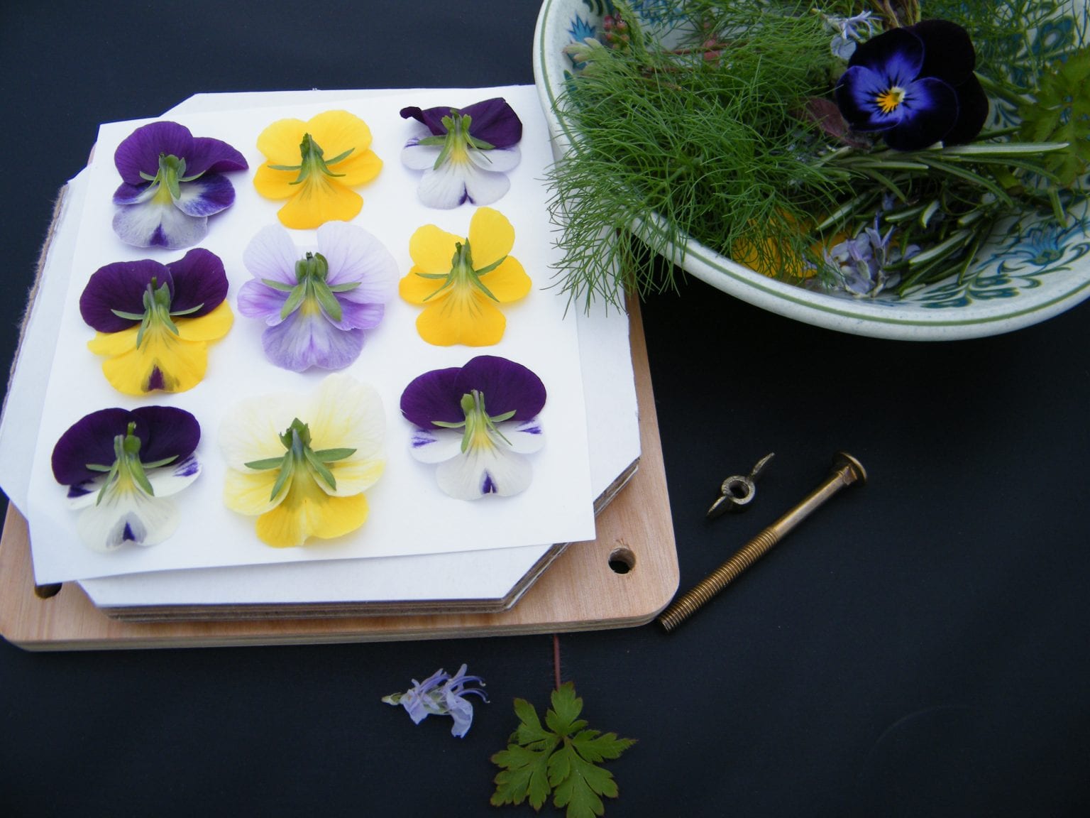 How to press flowers back to basics Dried Flower Craft