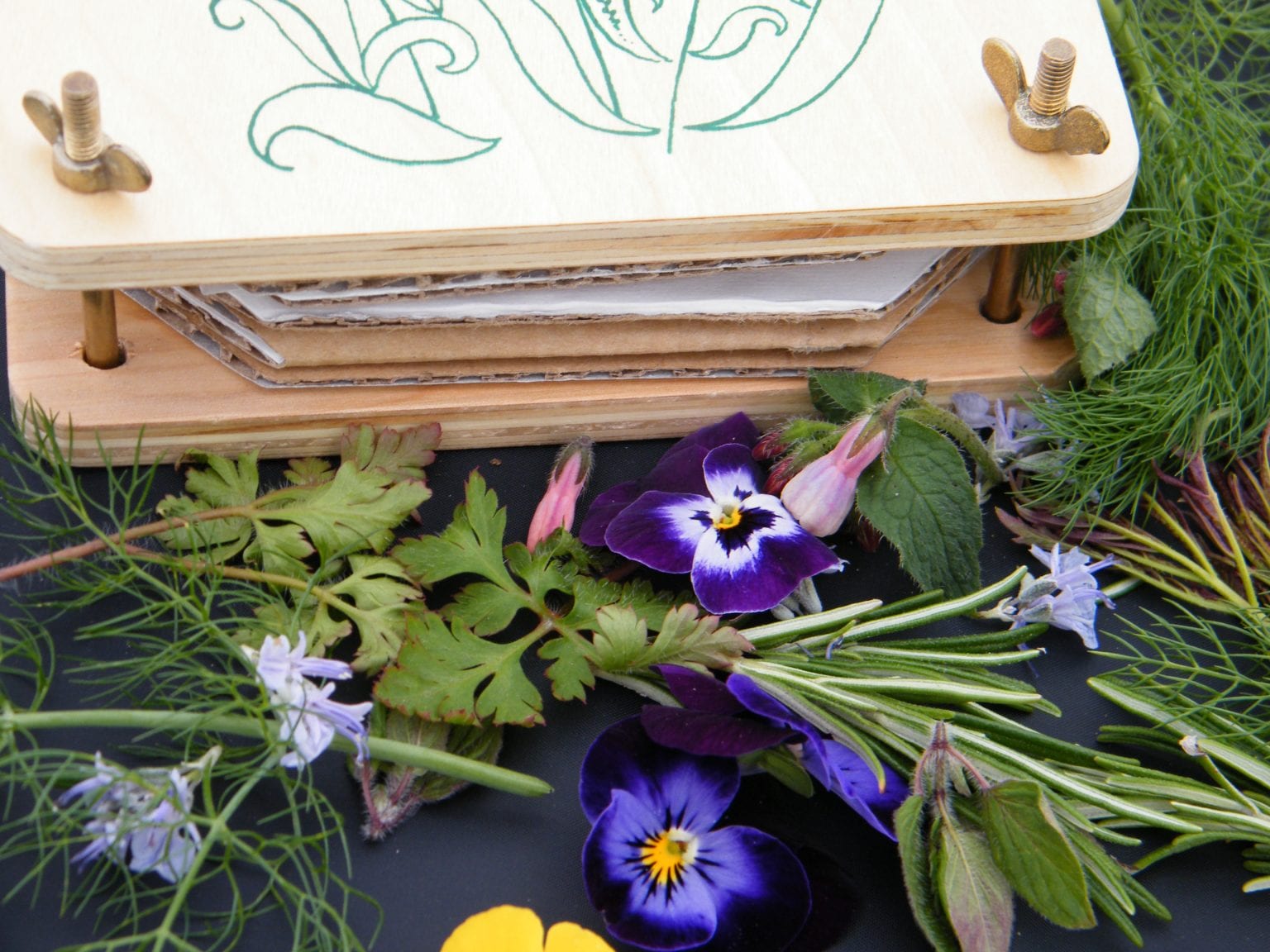 How to press flowers back to basics Dried Flower Craft