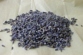 https://driedflowercraft.co.uk/wp-content/uploads/2019/11/dried-lavender-pile.jpg