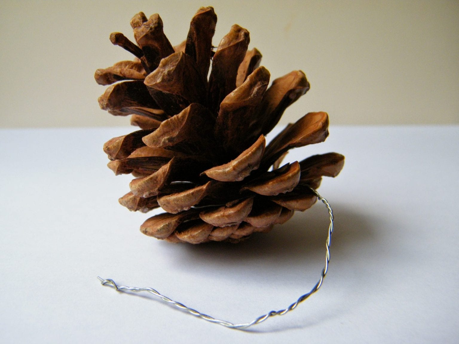 Wiring pine cones to make Christmas decorations Dried Flower Craft