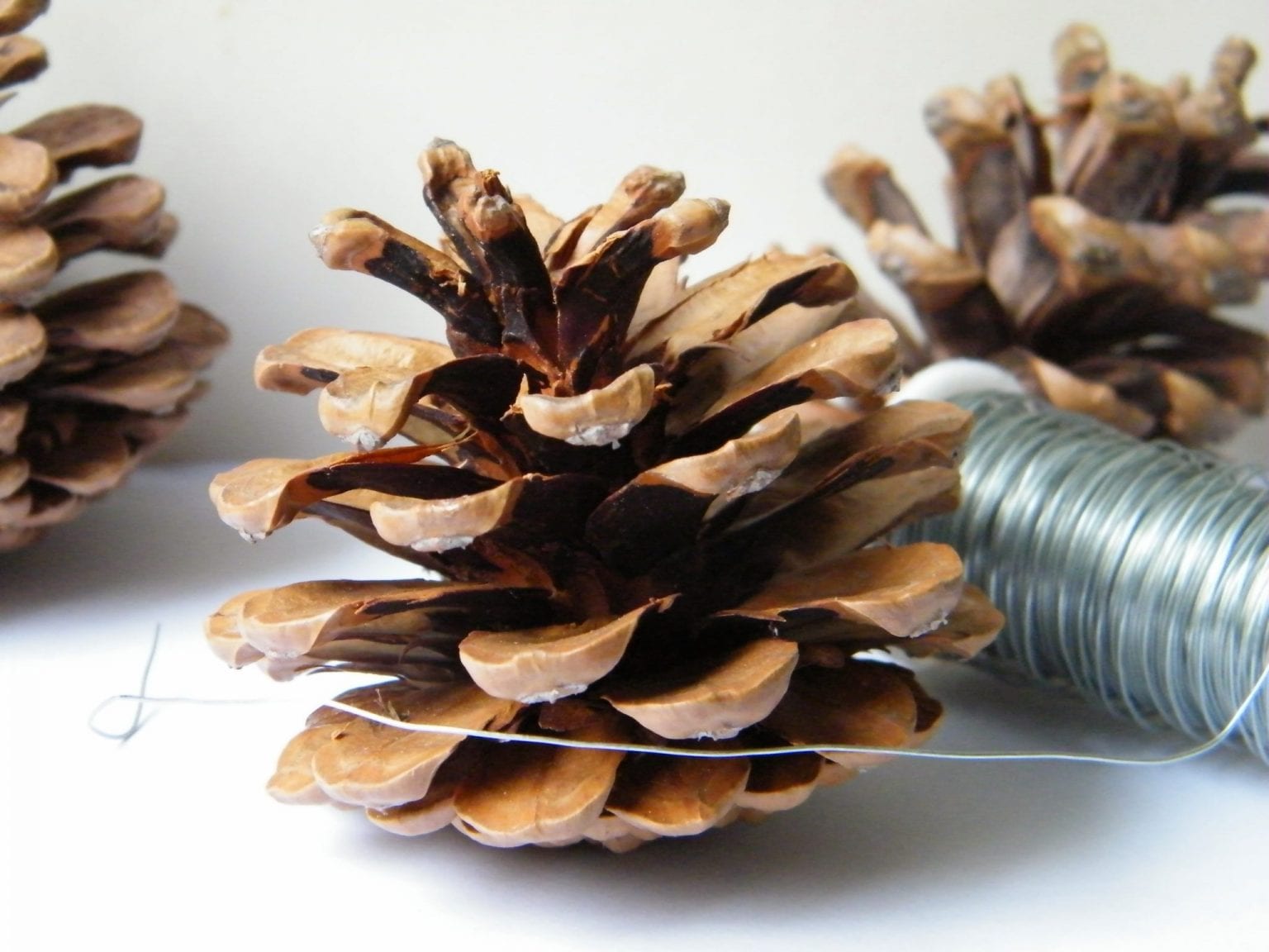 Wiring pine cones to make Christmas decorations Dried Flower Craft