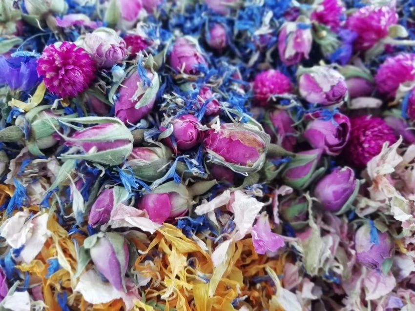 dry rose buds flower petals Dried Flower Craft