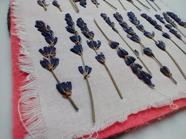 Pressing dried flowers