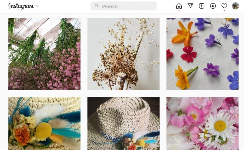dried flower trends instagram