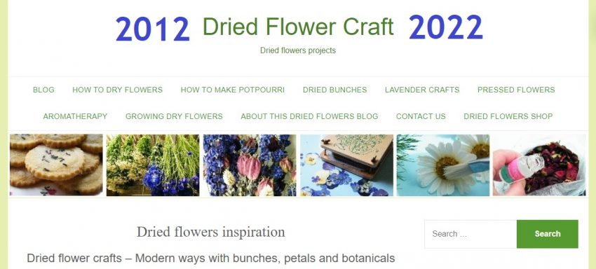 ten years dried flower craft