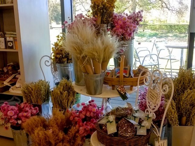 dried flowers shop wakehurst place