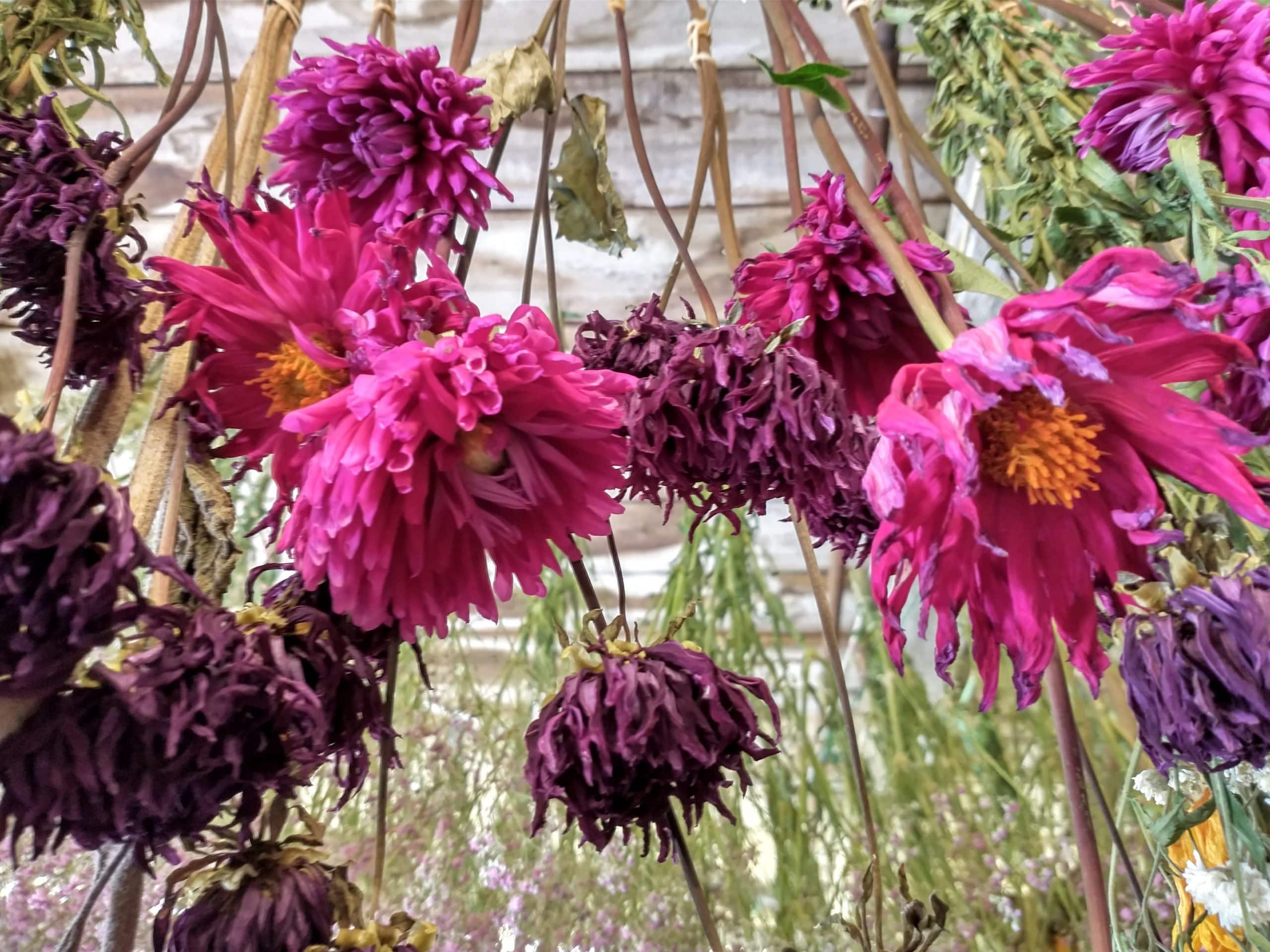 Big DIY projects with dried flowers Dried Flower Craft