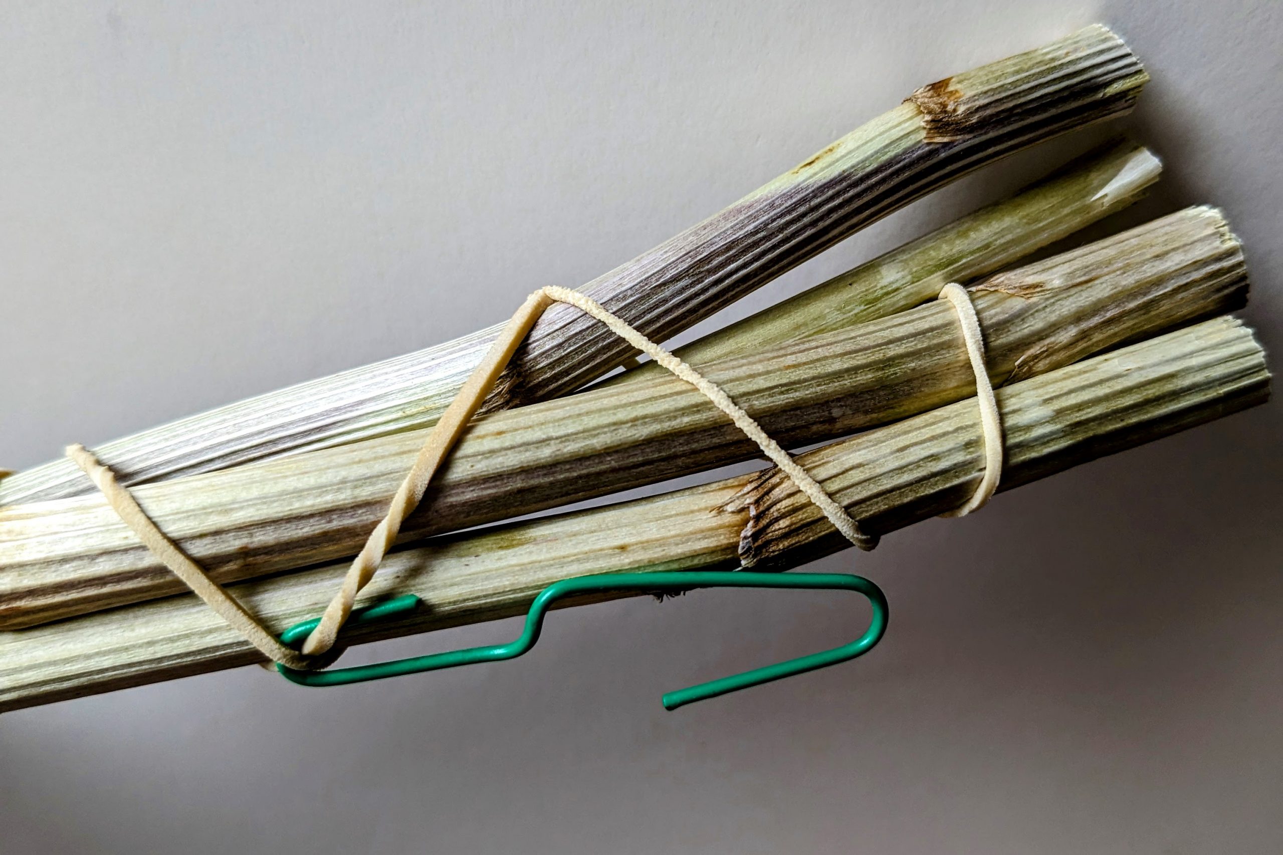 drying flower stems Dried Flower Craft