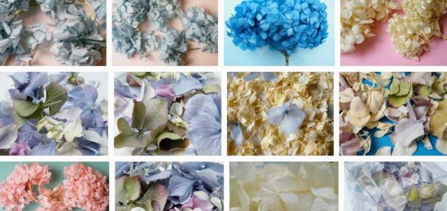 hydrangea florets for confetti