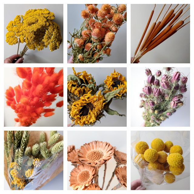 autumn dried flowers