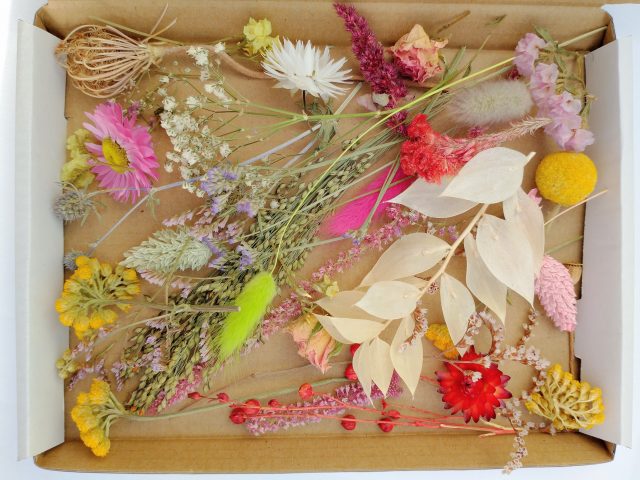 small dried flowers craft