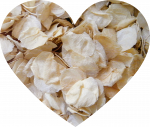sweety petals white dried flower confetti