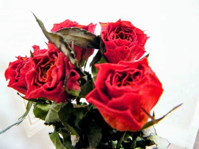 dried valentines day bouquet