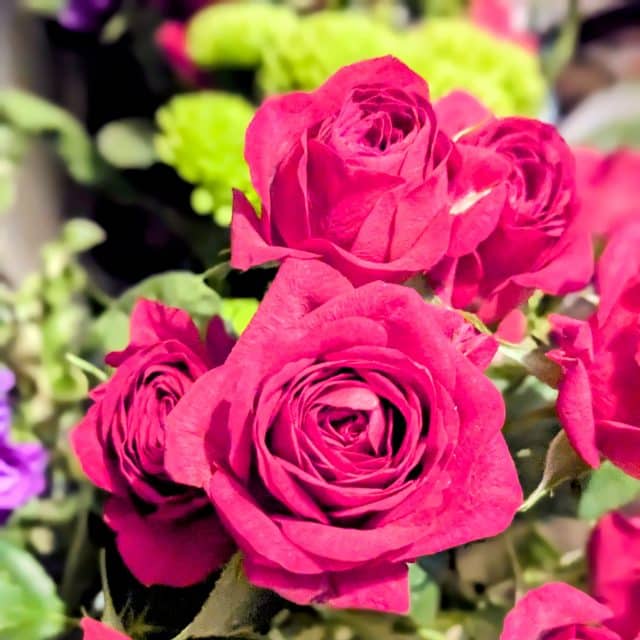 rose valentines day bouquet