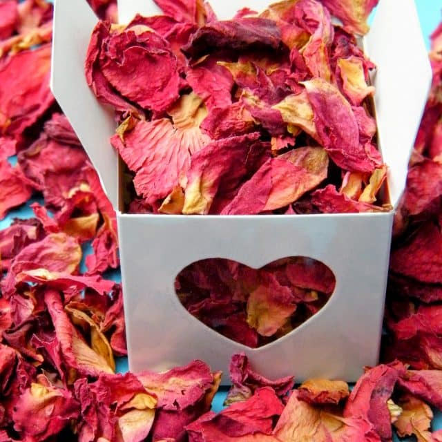 valentines rose petals preserved